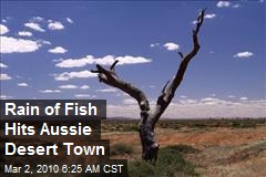 Rain of Fish Hits Aussie Desert Town