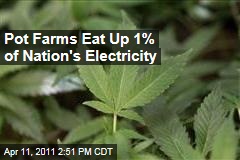 Pot Farms Eat Up 1% of Nation's Electricity