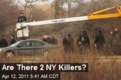 Are There 2 NY Killers?