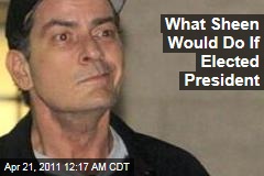 What Sheen Would Do If Elected President
