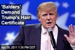'Balders' Demand Trump's Hair Certificate