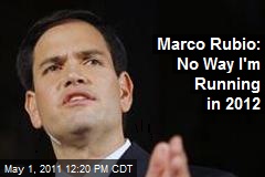 Marco Rubio: No Way I'm Running in 2012